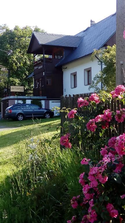 Penzion Edelstejn Petrovice  Екстер'єр фото
